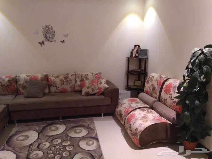 اثاث  شقه انا مجرد معلن تواصل ع رقم الجوال  (image 2)