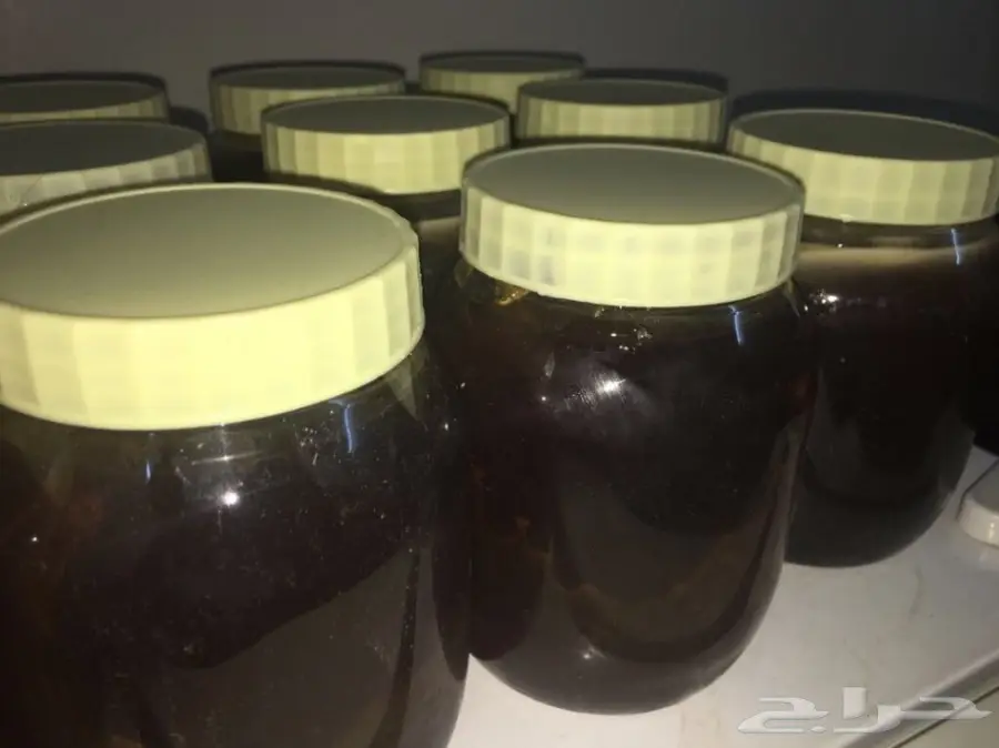 عسل سدر اصلي وخلية نحل سدر  (image 4)