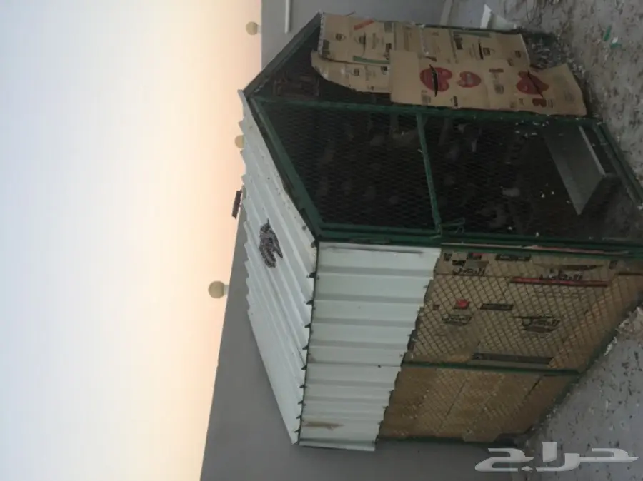 حمام للبيع (image 4)