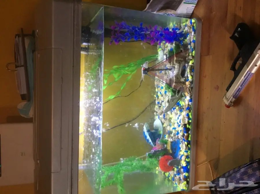 حوض اسماك للبيع 