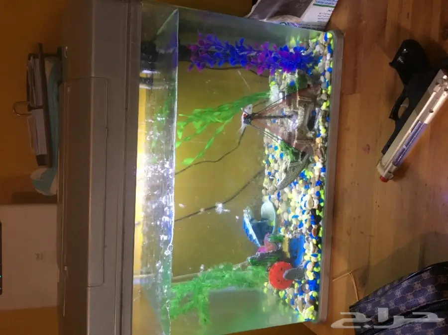 حوض اسماك للبيع  (image 1)