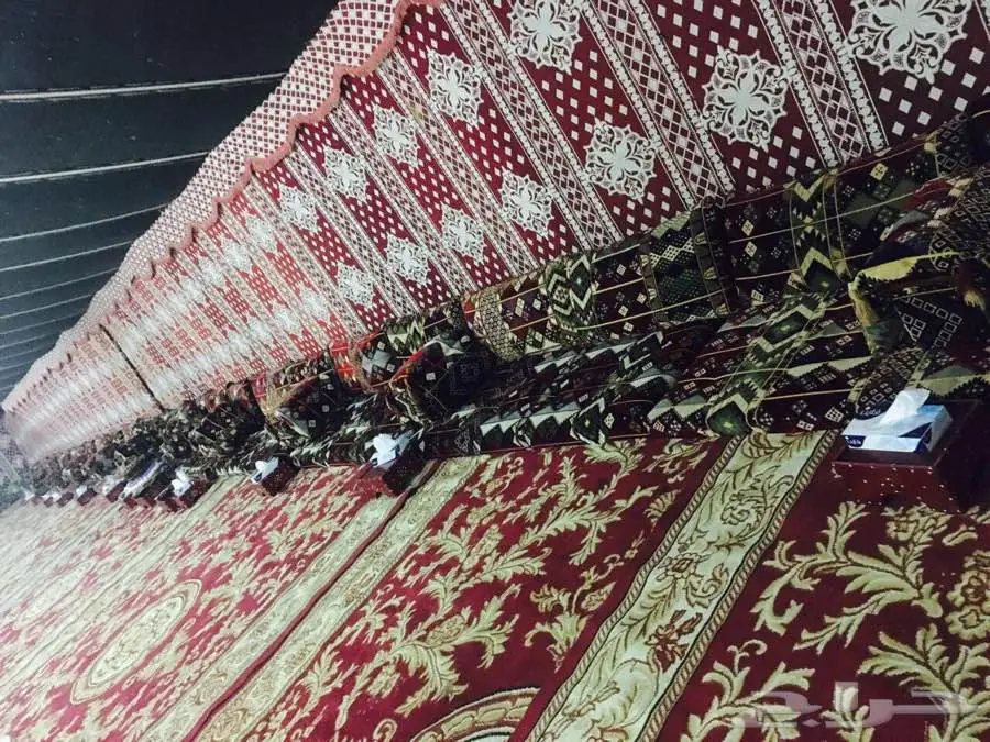 اجارخيام وبيوت شعرملكي في انحاء المملكة (image 3)
