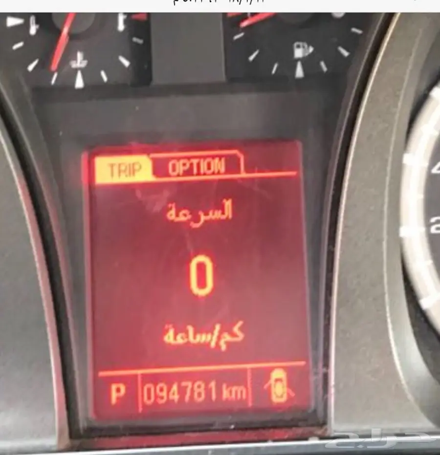 جمس تيرين 2013  (image 20)