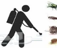 شركة تنظيف بالرياض وتلميع باركيه ومكافحة حشرا (image 12)