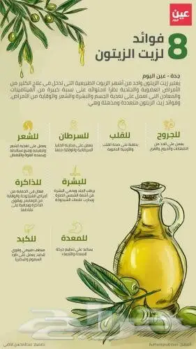 زيت زيتون فلسطيني عصرة أولى بكر ممتاز جديد (image 20)