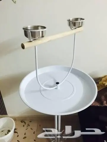 ستاند ببغاء جديد لم يستخدم