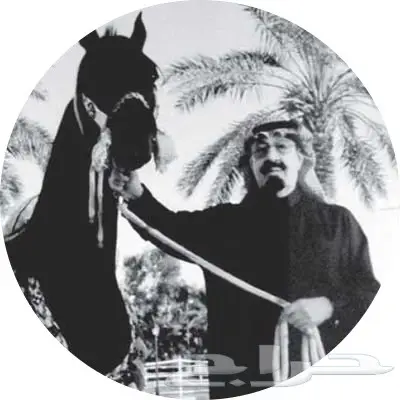 بحث عن معلم ايس كريم صاج 