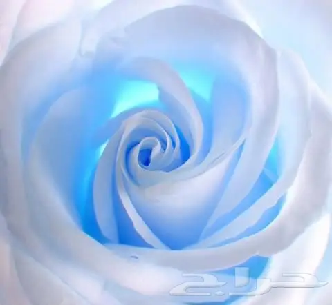 محاسب خبرة بالبرامج المحاسبيه (دوام جزئي)