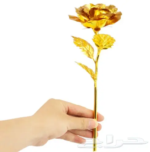 ورد مطلي بالذهب (image 3)