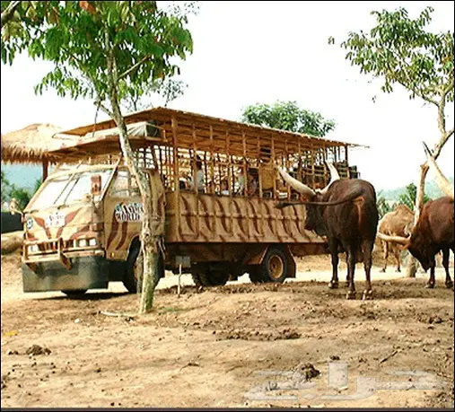 بكدج عائلى سياحى فى ماليزيا 15 يوم  6 افراد (image 36)