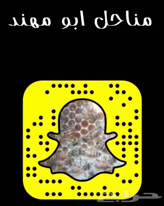 عسل سدر عسل سمره عسل طلح عسل درجه اولى  (image 7)