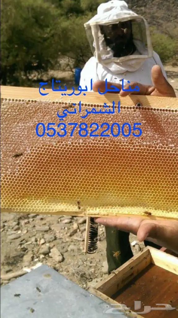 عسل سدر عسل سمر عسل طلح مفحوص مخبريا (image 7)