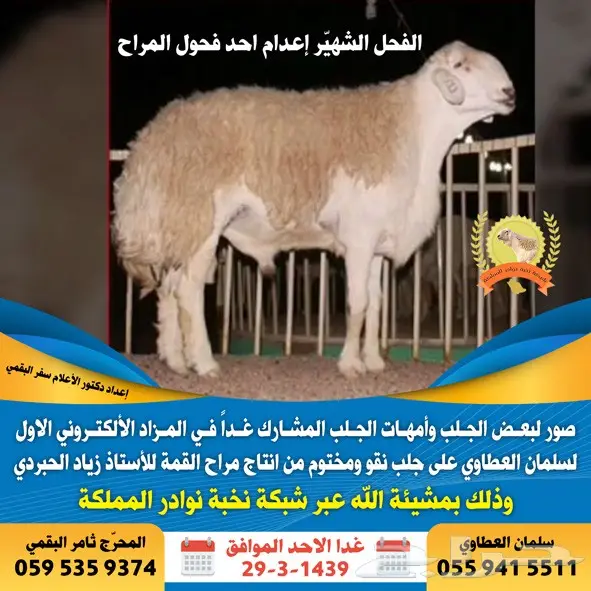  مصمم دعاية و اعلان و مونتاج و انترو عن بعد (image 113)