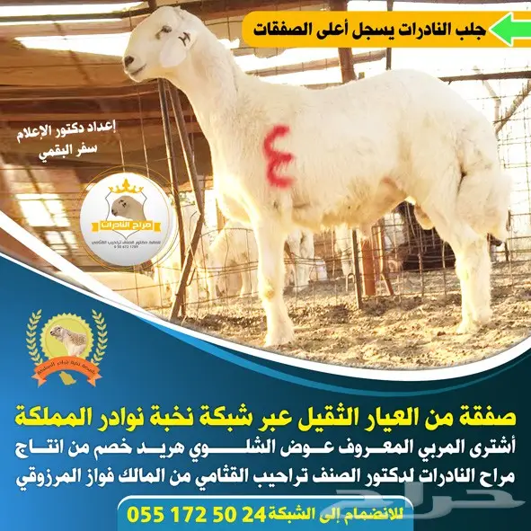  مصمم دعاية و اعلان و مونتاج و انترو عن بعد (image 162)