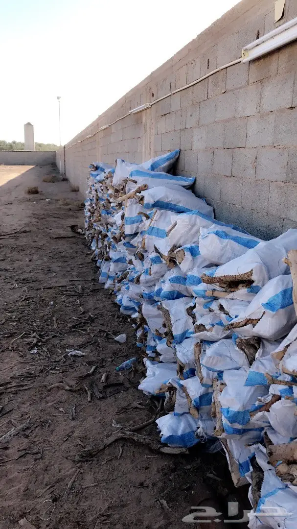 عرض على خياش سمر 25ريال