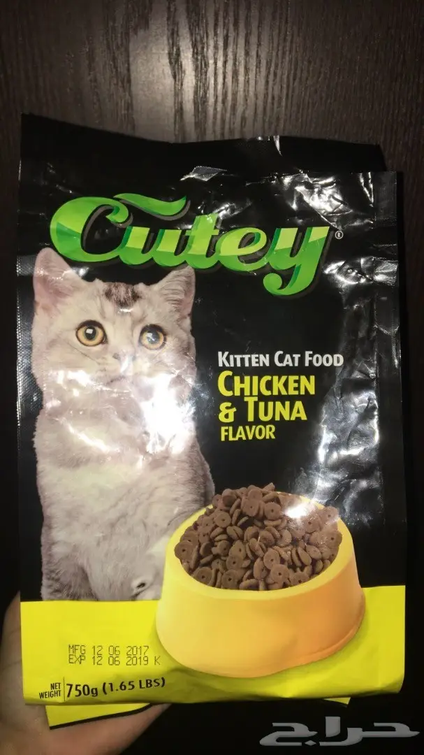 قط شيرازي عمره شهرين (image 6)