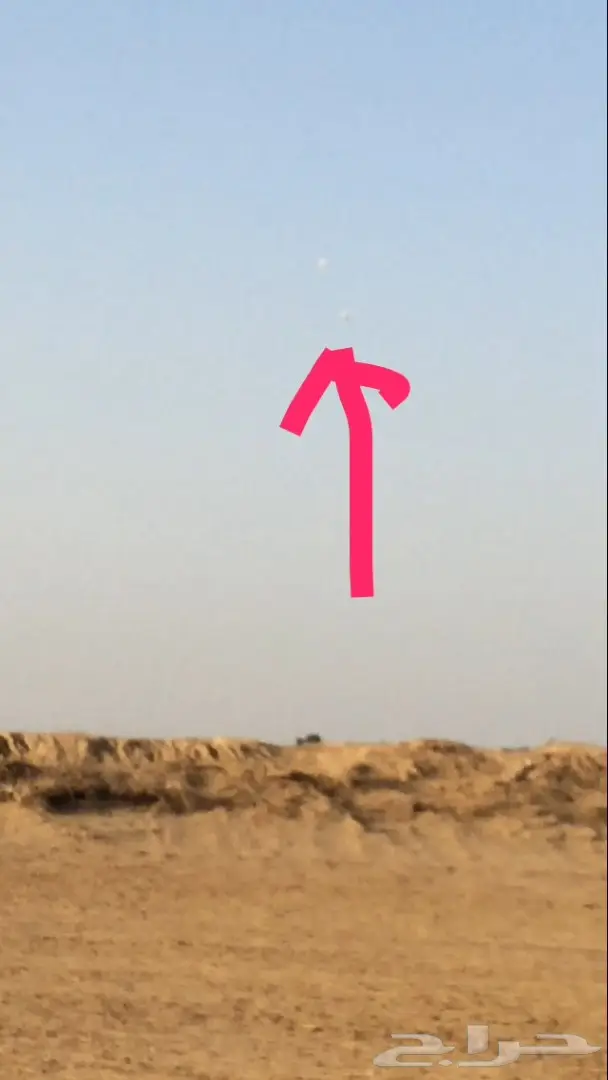 فروخ كروان اليفات وهدد داخلي وهدد حر خارج الب (image 3)