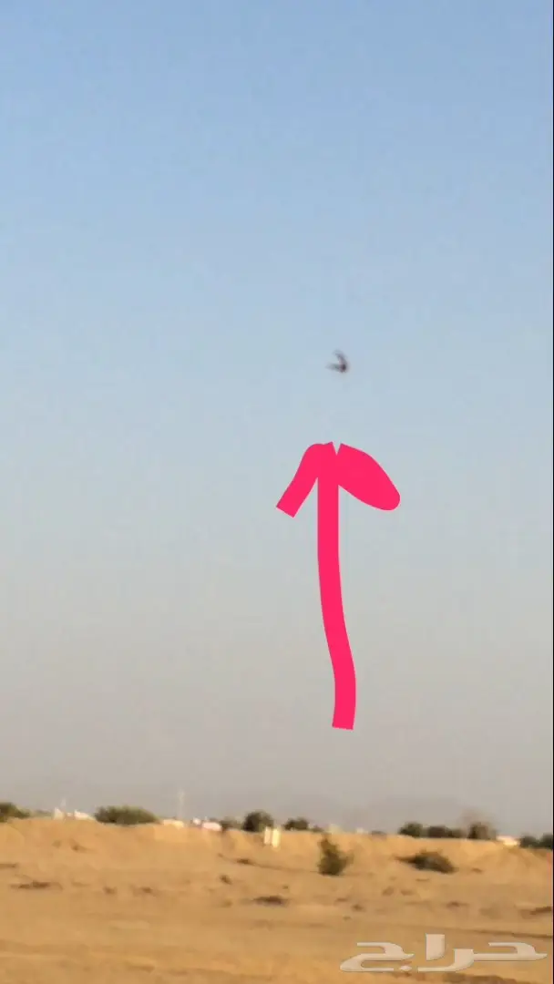 فروخ كروان اليفات وهدد داخلي وهدد حر خارج الب (image 4)