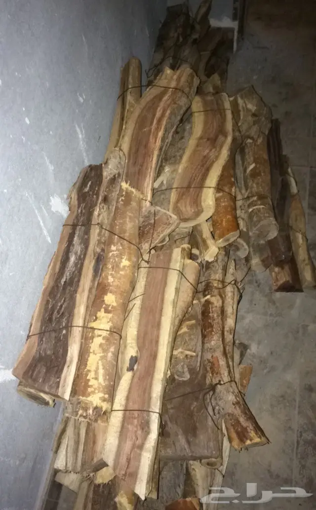 ح ط ب حزم على السوم 