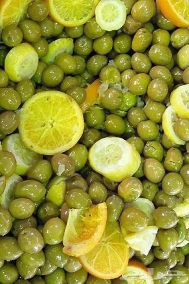 زيت زيتون فلسطيني فاخر من الدرجه الاولى البكر (image 16)