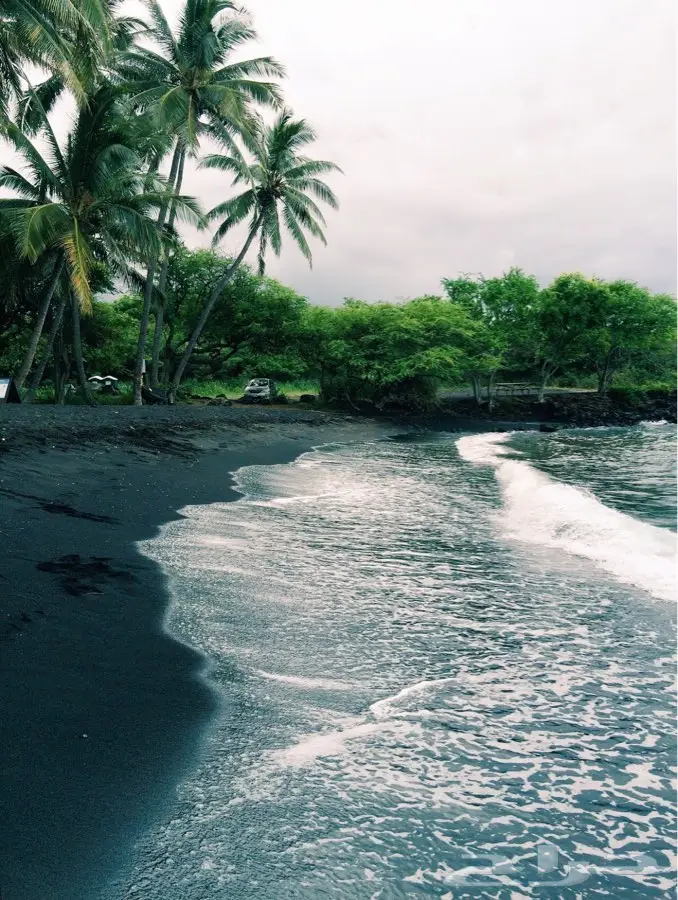 استخراج تصاريح زواج من اجنبيه