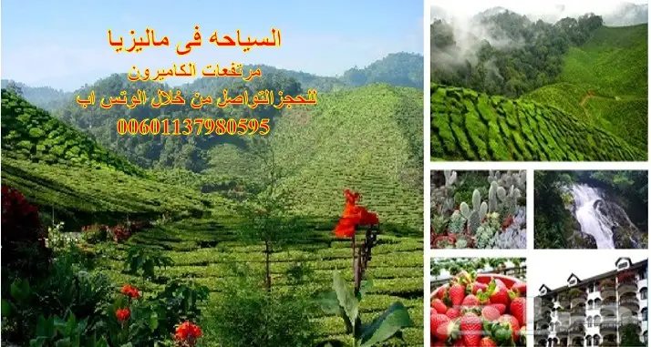 برنامج شهر عسل بماليزيا لمدة 11 يوم 4 نجوم