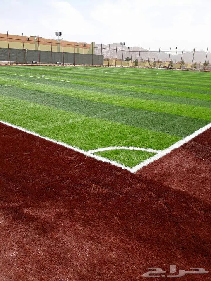 عشب صناعي  (image 8)