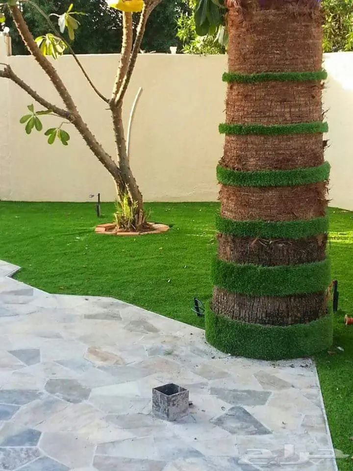 عشب صناعي  (image 9)