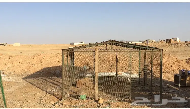 شبوك حمام (image 2)