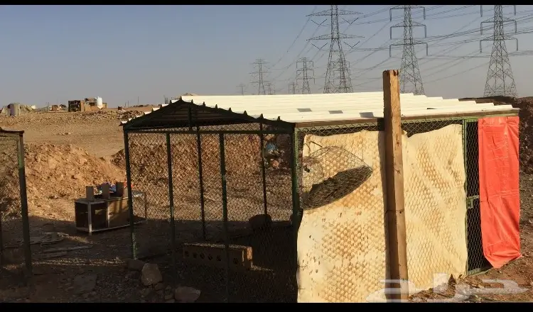 شبوك حمام (image 1)