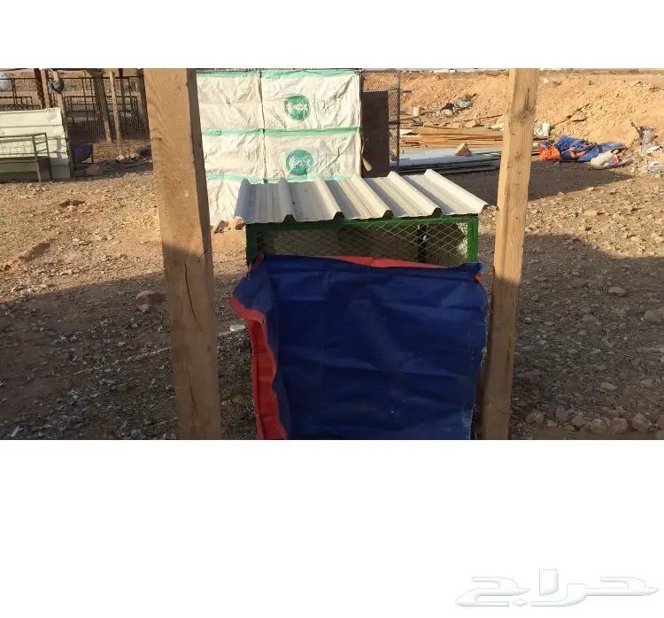 شبوك حمام (image 3)