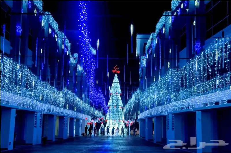 بكدج عائلى سياحى فى ماليزيا 15 يوم  6 افراد (image 31)