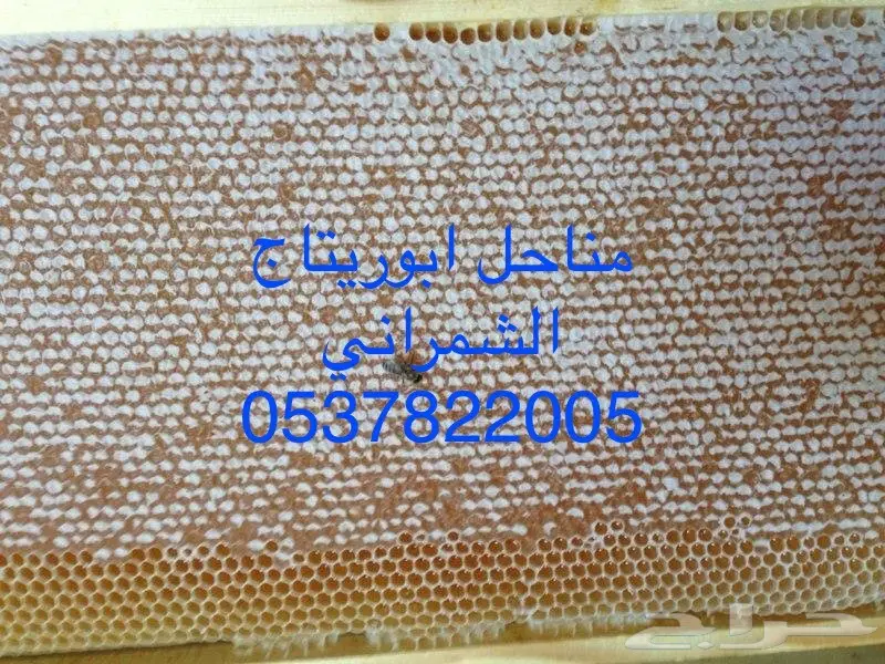 عسل سدر عسل سمر عسل طلح مفحوص مخبريا (image 4)