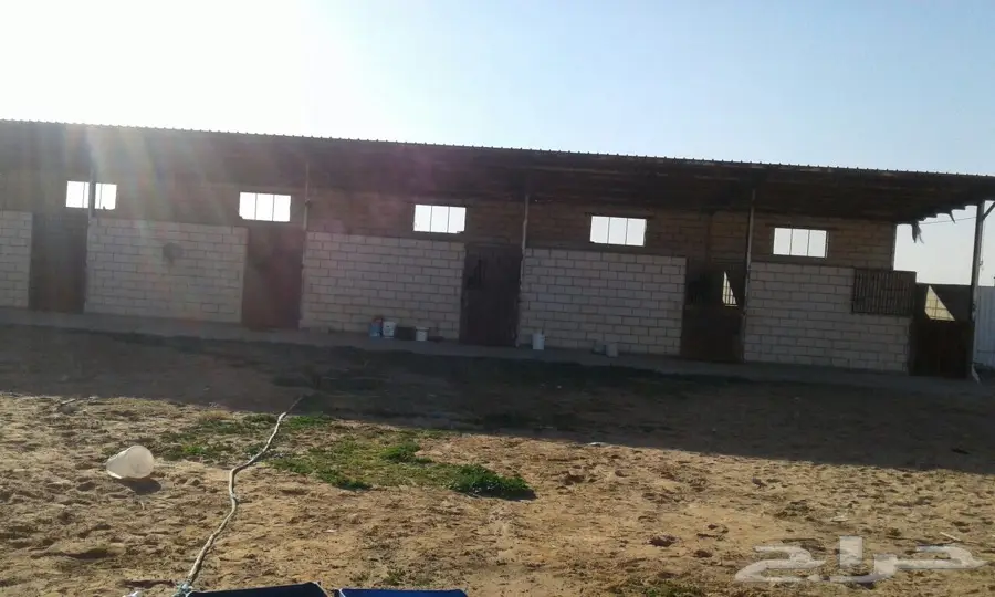ايواء شهري للخيل بالجنادريه (image 1)