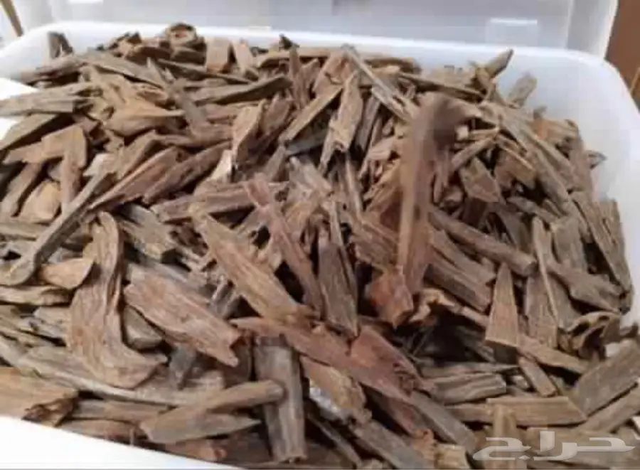 مزاد حصري لعود كلمنتان فاخر - فرصة لا تُفوّت!