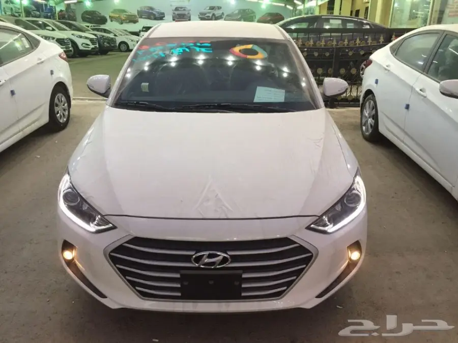 فرصة لا تعوض: النترا 2018 - نص فل جنوط (الوعلان)!