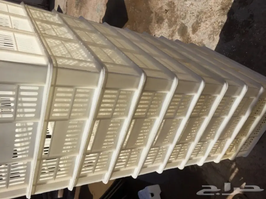 تصفية مشروع دواجن  (image 4)