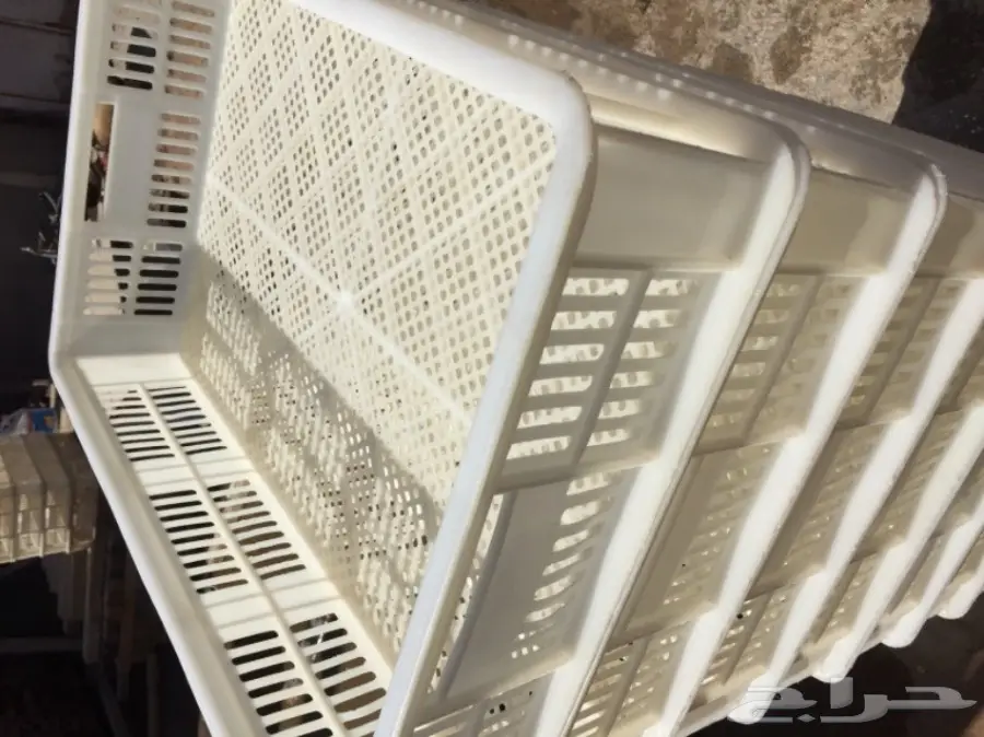 تصفية مشروع دواجن  (image 5)