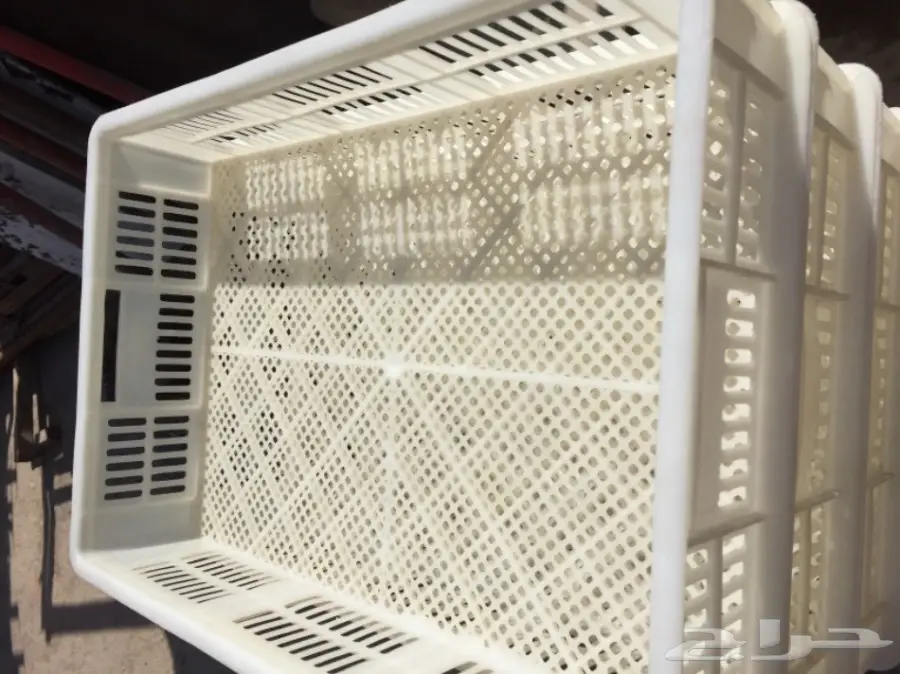 تصفية مشروع دواجن  (image 6)