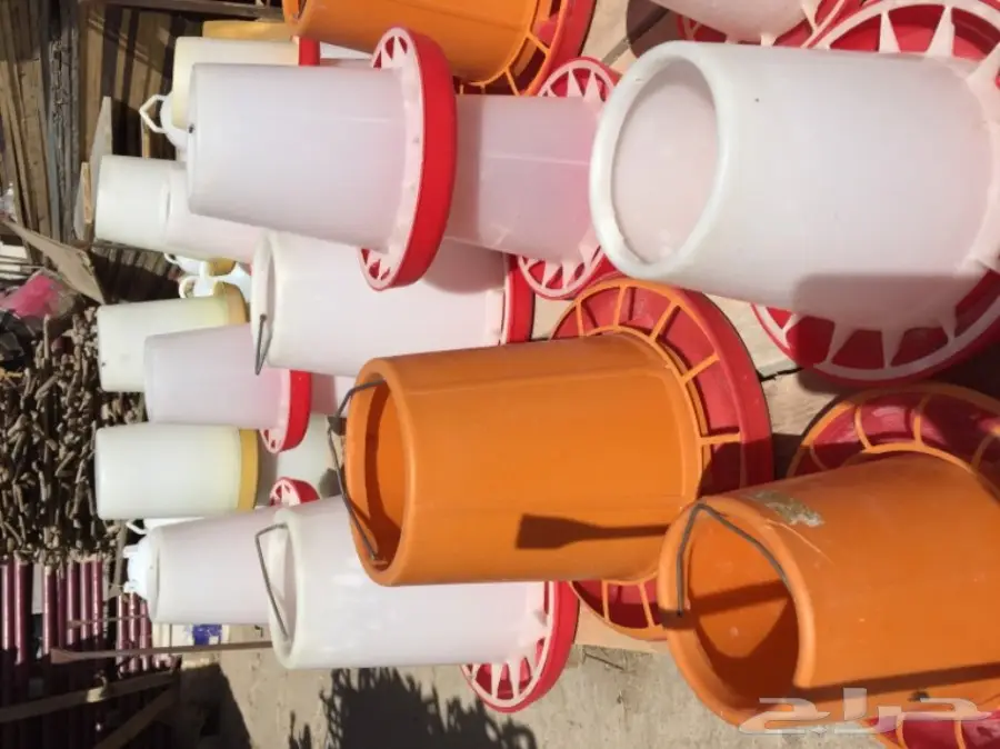 تصفية مشروع دواجن  (image 7)