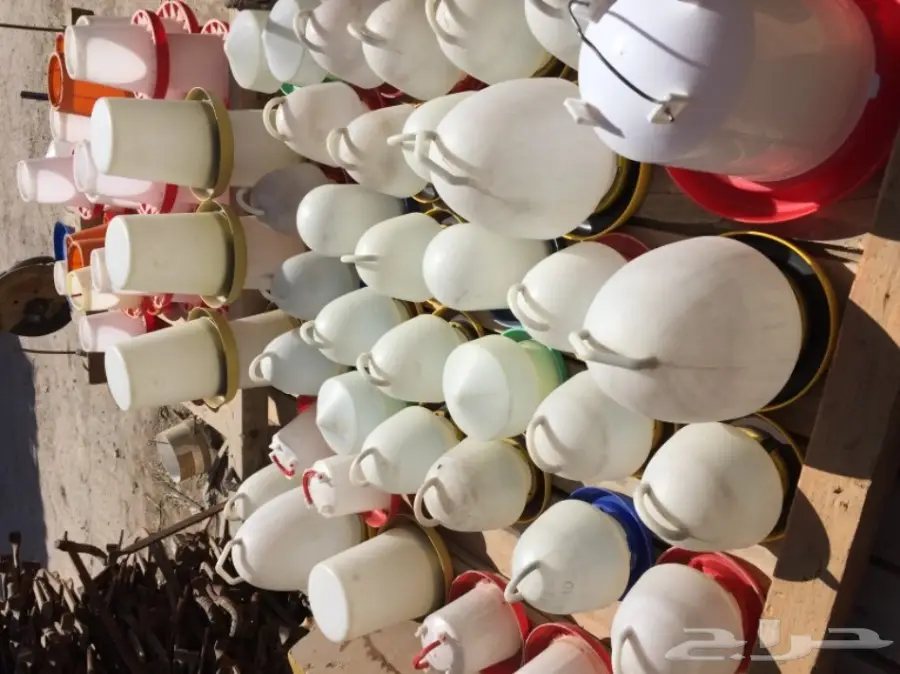 تصفية مشروع دواجن  (image 8)