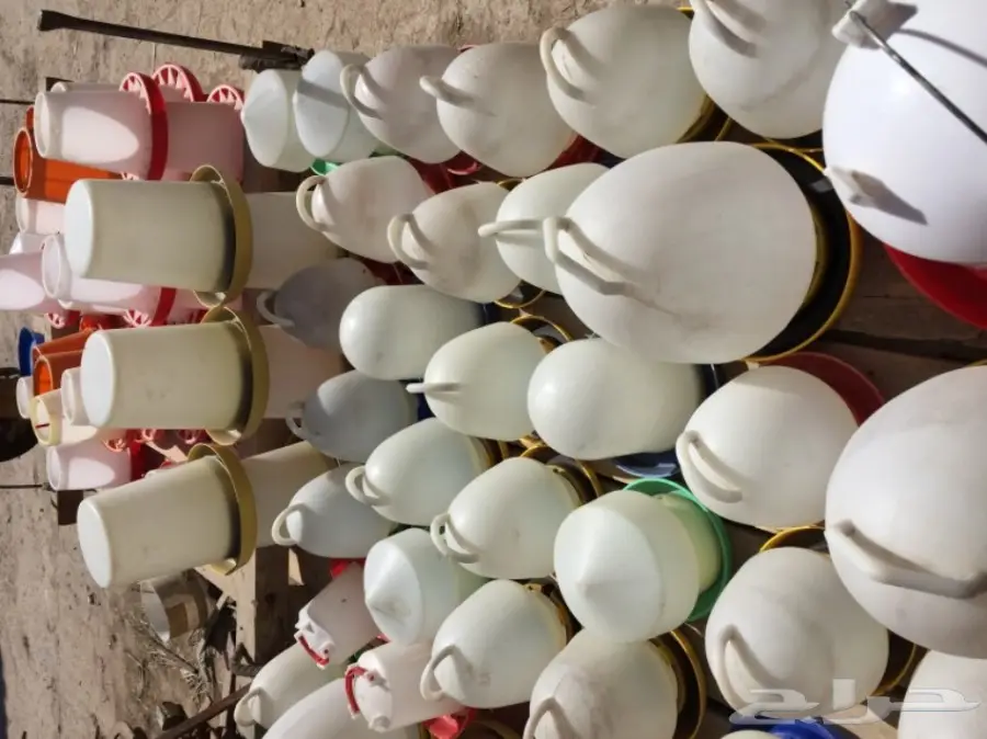 تصفية مشروع دواجن  (image 9)