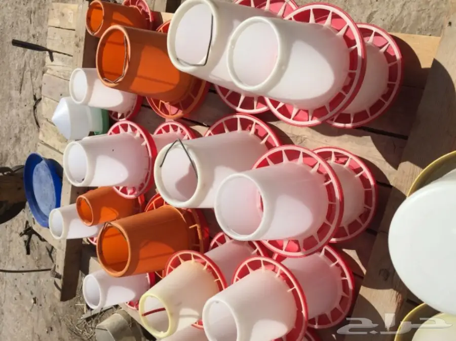 تصفية مشروع دواجن  (image 10)