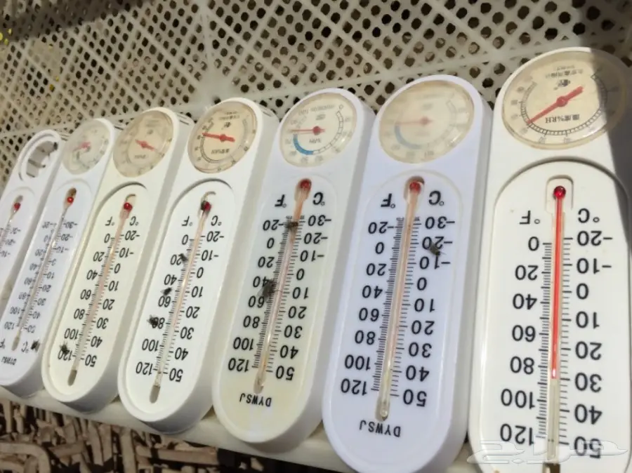 تصفية مشروع دواجن  (image 11)