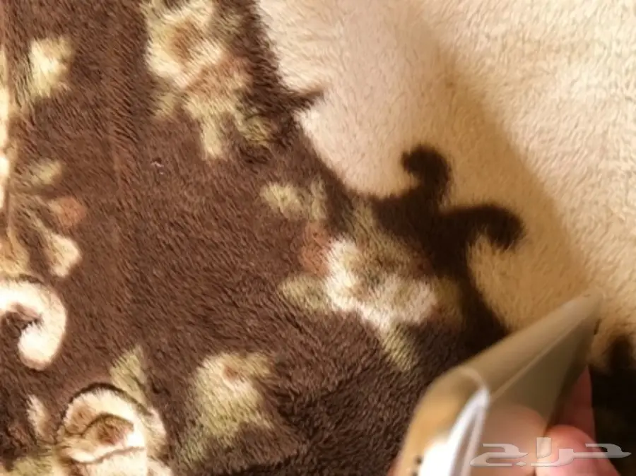 للبيع ايفون 6بلس ذهبي (image 8)