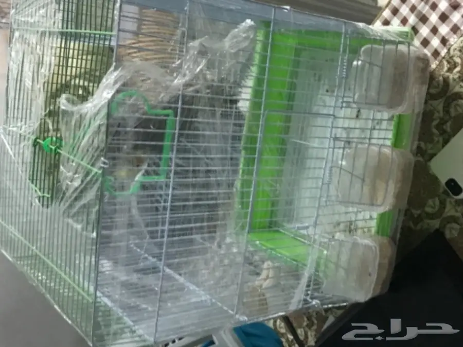 ذكر كروان تغريد  (image 3)