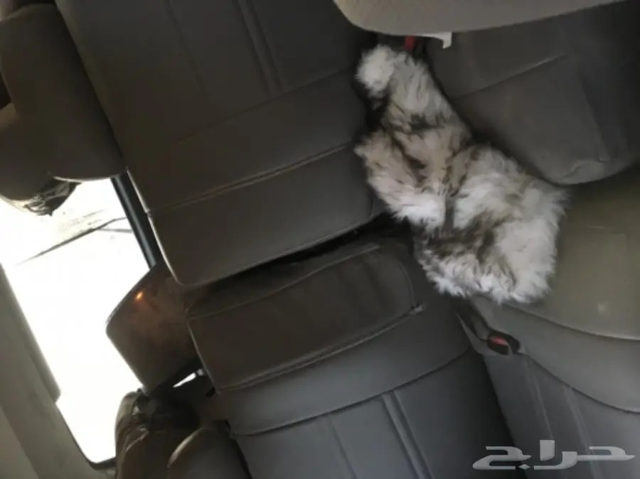 جيب vxr 94 (image 14)