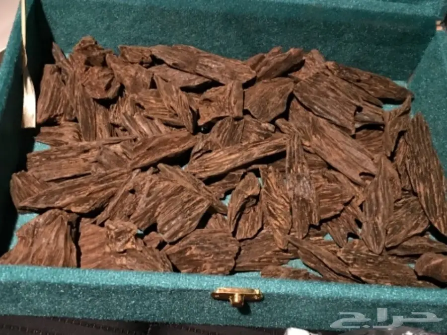 عود كلمنتان فاخر وبسعر رائع . 