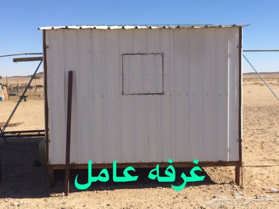 غنم للبيع (image 22)