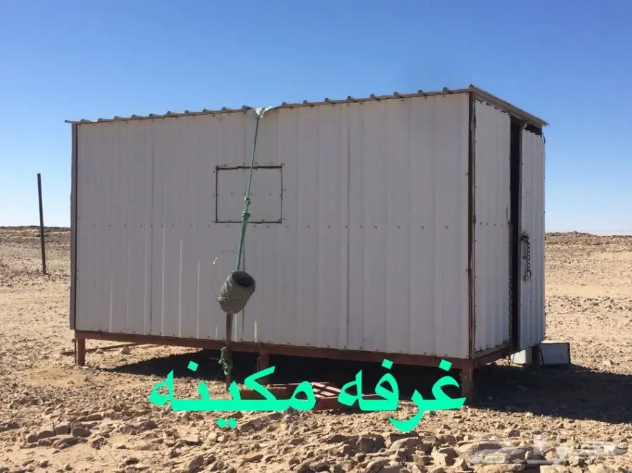 غنم للبيع (image 23)